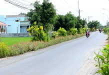 “Mãi đẹp tình quê”