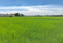 Văn học dân gian Cần Đước