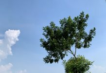 Người Cần Đước Online đã đem lại cảm xúc dâng trào!