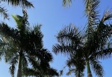 Một ngày ở huyện láng giềng: Tân Trụ