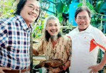 Thăm “Khu vườn kỳ thú” trên quê hương Cần Đước