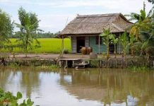 Cần Đước quê hương tôi!