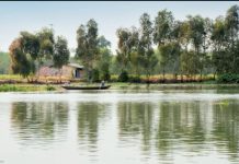 Thêm bài hát về quê hương Cần Đước: Hai dòng sông quê