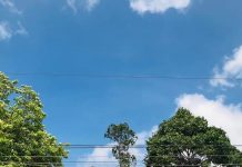 Mùa Xuân thăm đình Vạn Phước, Chợ Đào…