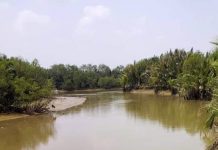 Cần Đước – Đất và Người: Vàm Mương – Mương Ông Huỳnh