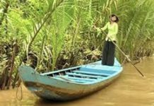 CA DAO CẦN ĐƯỚC: Ghe ai đỏ mũi xanh lườn?