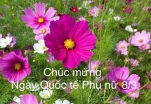 Chúc mừng Ngày Quốc tế Phụ nữ 8/3