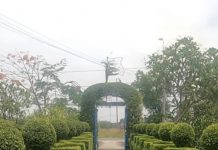 Hàng cây kiểng độc lạ ở Cần Đước.