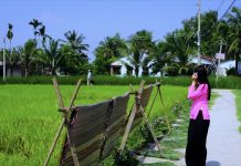 Hương tình miền Hạ