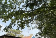 Tín ngưỡng dân gian của người dân Phước Đông – Cần Đước xưa