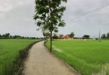 Miền Hạ quê tôi.