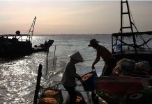 Lỡ hẹn quê hương