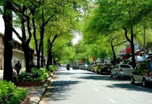 Hàng me Cần Đước giữa lòng Sài Gòn!