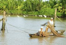 Xóm Đáy của tôi