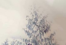 Những bước đường hội nhập!