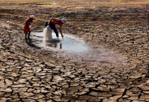 Nguyễn Thanh Hải – CHỜ MƯA!