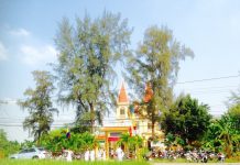 Đặc điểm phát triển tôn giáo ở Cần Đước – 4 thập kỷ đầu TK 20 (phần 3)