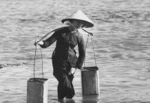 Vị ngọt nước mưa quê mình!