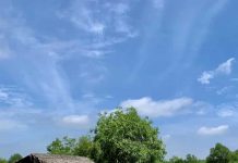 Thơ: Cần Đước ân tình