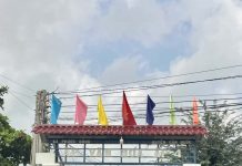 Xã Phước Đông, huyện Cần Đước đạt chuẩn nông thôn mới nâng cao.