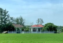 Đổi thay ở quê hương Cần Đước qua góc nhìn từ kỳ nghỉ lễ 2.9