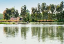 Dòng sông Vàm Cỏ trong âm nhạc