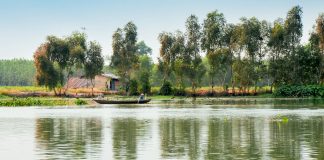 Dòng sông Vàm Cỏ trong âm nhạc