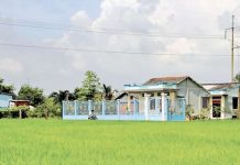 Chuyện nước ở Cần Đước (2)