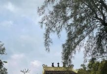 Lăng Hoàng Gia – Lịch sử và giai thoại