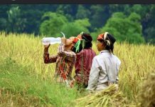 Ghi chép: Những ngày vi vu ở miền Đông Bắc!