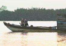 Hương tình miền hạ