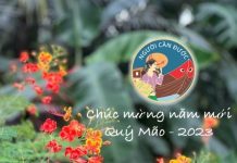 Tự tình người quản trị trước năm mới!