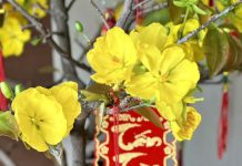 Vui Xuân nhớ Tết quê nhà.