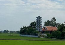 Vẽ đẹp vùng ngoại vi thị trấn Cần Đước