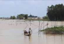 Nghề hạ bạc (hết)