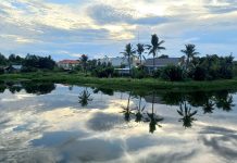 Cần Đước – Những bước ngoặt sau năm 1975…