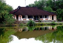 Thương nhớ về Cần Đước